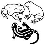 Arasaac 150-f9f384c46bfebc264563b211819de5e2