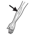 Arasaac 150-1d56ceaae631dc16611402a92fbb123a