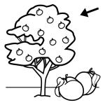 Arasaac 150-9ad84313c22adb5924fca50dc361727