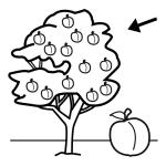 Arasaac 150-e924c361ec80dcd7c89afd60030b1473