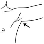 Arasaac 150-e41bc1804277c8cf07349f8f8398d5ce