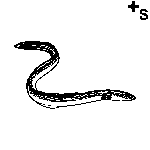 Arasaac 150-c70d941db6d8061454397e0b7c6b71c2