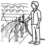 Arasaac 150-e3c29f3bea050f07c9fabf03a26ae8fd