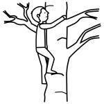 Arasaac 150-dcfd7b0814fc730754a83a939d459227