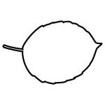 Arasaac 150-6d16a462784bcc9139a249fe595e8b50