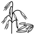 Arasaac 150-e83a1fdf9425dc6a83dfd2db1705e4c7