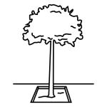 Arasaac 150-7acf810a68e274fe5905351286b506f2