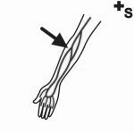 Arasaac 150-dcd3b503e612145d275f0b00fe61ae56