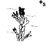 Arasaac 150-3225fd4b354d209f03a02d4a4ef580bd