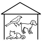 Arasaac 150-727834ac14daeb1414c33bede4935b55