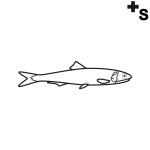 Arasaac 150-d87c6c0d9cdadea7e0d994786aeb6683