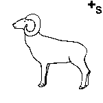 Arasaac 150-bee047b7c5e2eac0ecaac7b3909377c4