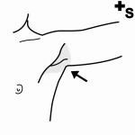 Arasaac 150-724c84ab6a02eab5f49756b6a344cd5e