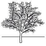 Arasaac 150-a5c199ddcc76533007b05b4dda4cbb9b