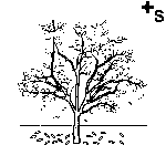 Arasaac 150-8aa3b89a87b3160e8d140026a552d6c1