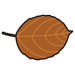 Arasaac 150-6d16a462784bcc9139a249fe595e8b50