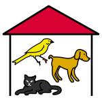 Arasaac 150-727834ac14daeb1414c33bede4935b55