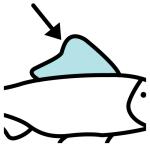 Arasaac 150-7da94d0250d25cb29864ed63bc7aeffe