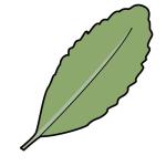 Arasaac 150-a5362b10aa30dc8b9e06396c177d19f2