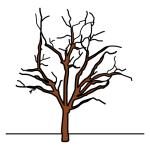 Arasaac 150-c91f72f9799074d4609669ac612c8e4e