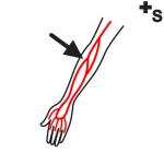 Arasaac 150-dcd3b503e612145d275f0b00fe61ae56