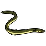 Arasaac 150-dde6e2e24ad995e33853beae0a2f38a0