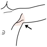 Arasaac 150-e41bc1804277c8cf07349f8f8398d5ce