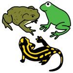 Arasaac 150-f9f384c46bfebc264563b211819de5e2