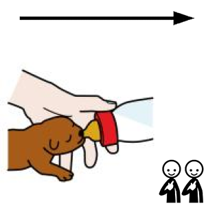 Arasaac 150-62baa8d94d2099f92e119b9e440ee5f2