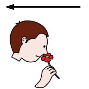 Arasaac 150-88c5f6acc1fa284b76dd3736eea29d22