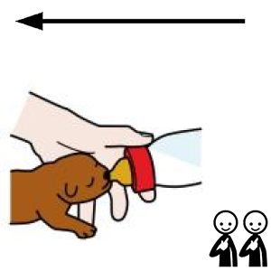 Arasaac 150-9d696c39dd70ad9203e86904728dcbe8