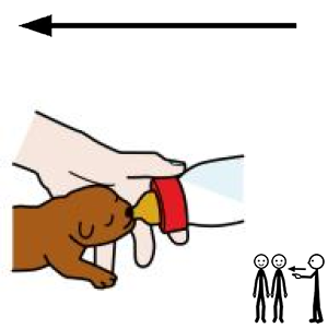 Arasaac 150-c7a2defcdcda00ec01a4d5ed524577ed